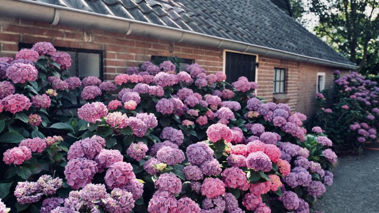 Onder De Appelboom Bed & Breakfast Garminge Exterior photo