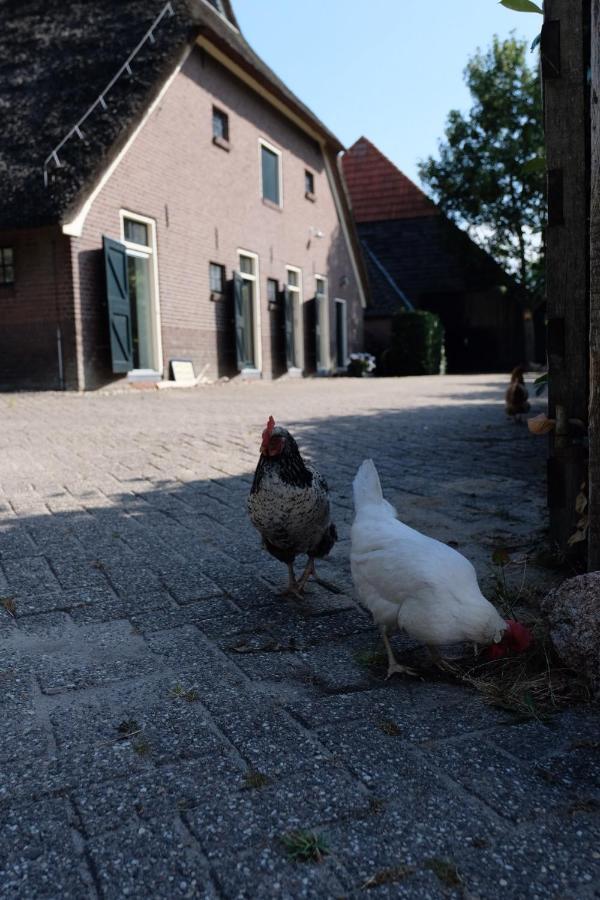 Onder De Appelboom Bed & Breakfast Garminge Exterior photo